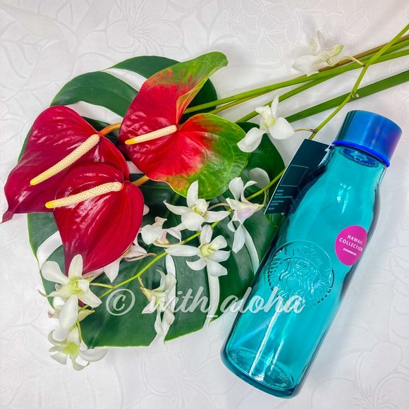 Starbucks Accessories - NEW Starbucks HAWAII Water Bottle